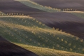 jiri-hakauf,-moravske-toskansko-ii.jpg