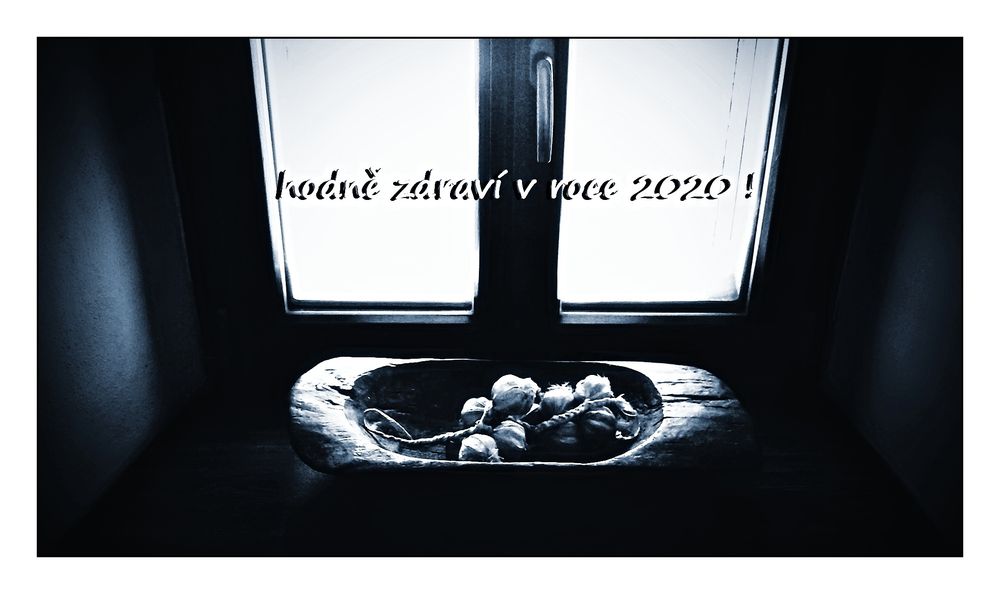 dana-klimesova---hodne-zdravi-v-pristim-roce-2020.jpg