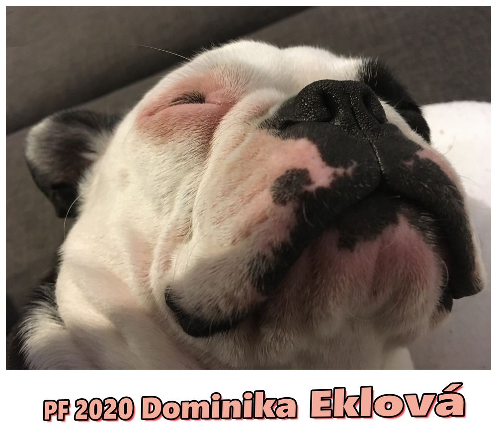 dominika.eklova-ospale-stene-ignace-janasovice.jpg