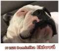 dominika.eklova-ospale-stene-ignace-janasovice.jpg