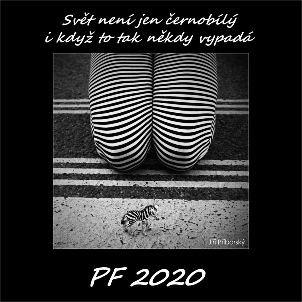 jiri.priborsky-pf-2020-02.jpg