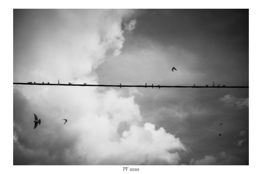 lucie.hlobilova-freedom.jpg