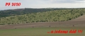 milan.skapa-morava.jpg