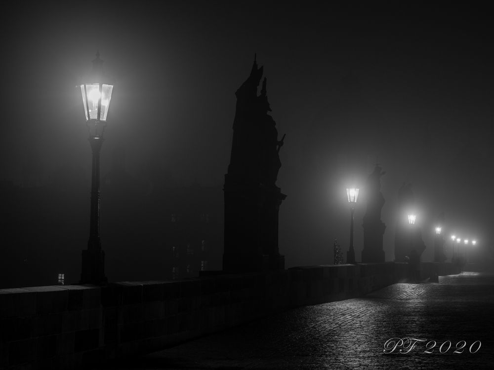 robert.grim-mlhave-rano.jpg.jpg