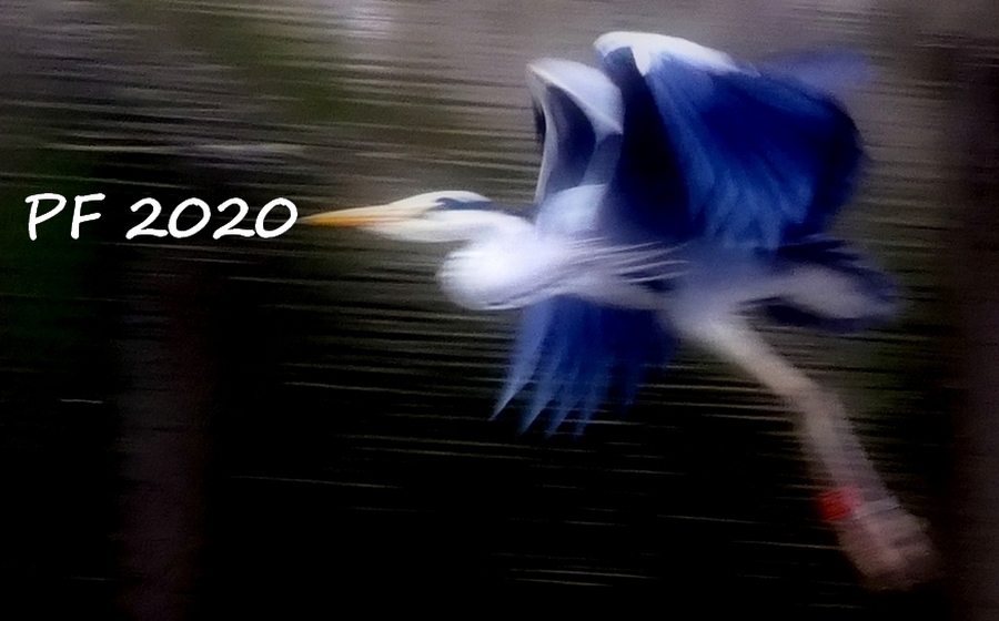 roland-meneghel-letime-do-2020.jpg