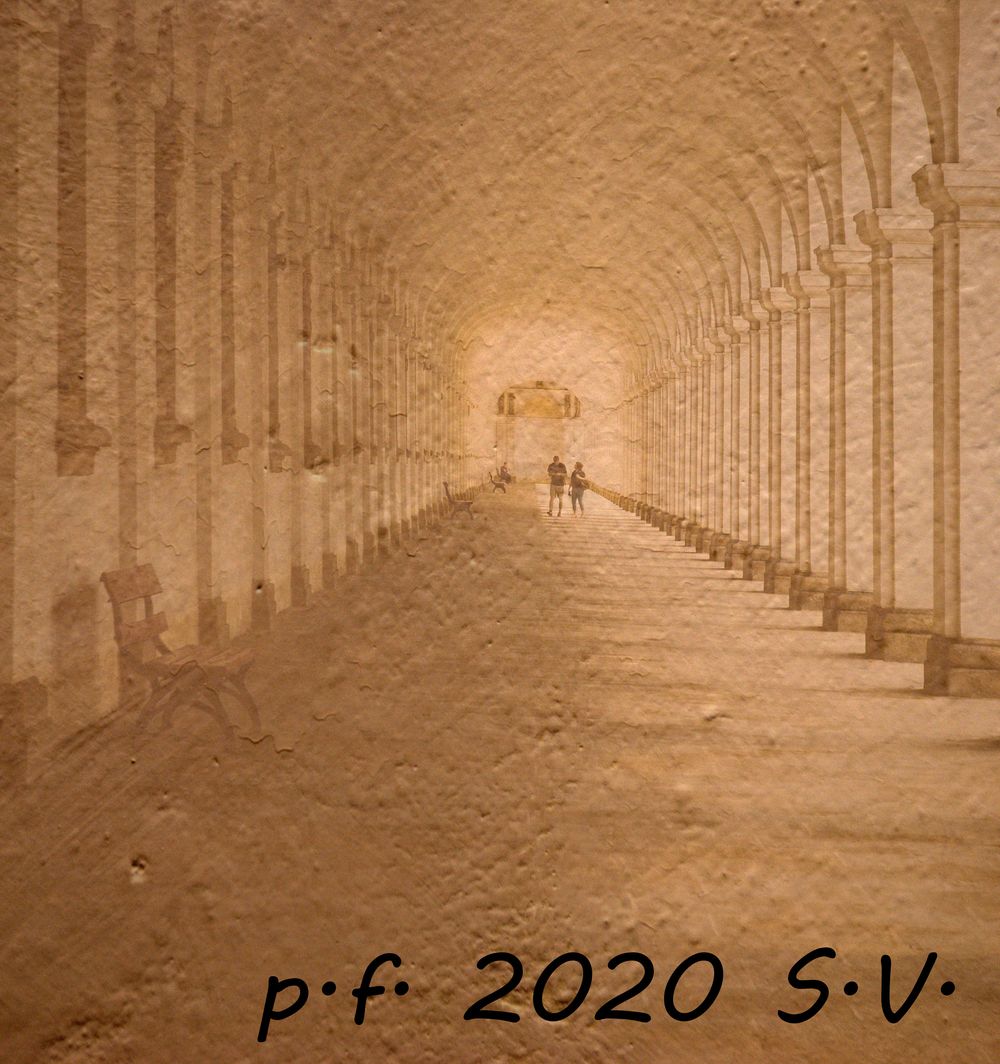stanislav-vicha-pf-2020.jpg