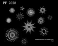 vladimir.tauer-snowflakes.jpg