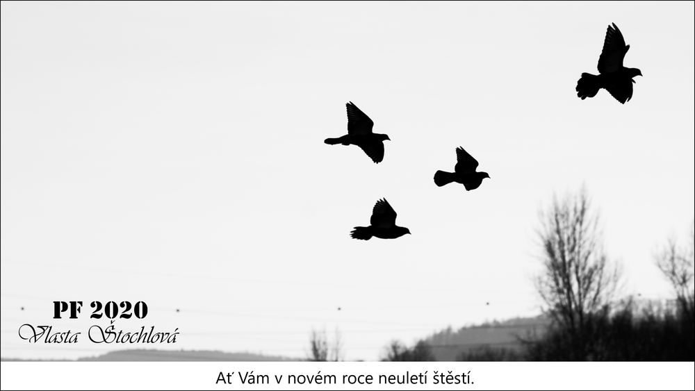 vlasta.stochlova-stesti-01.jpg