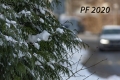 zbynek-cincibus-pf2-(2).jpg