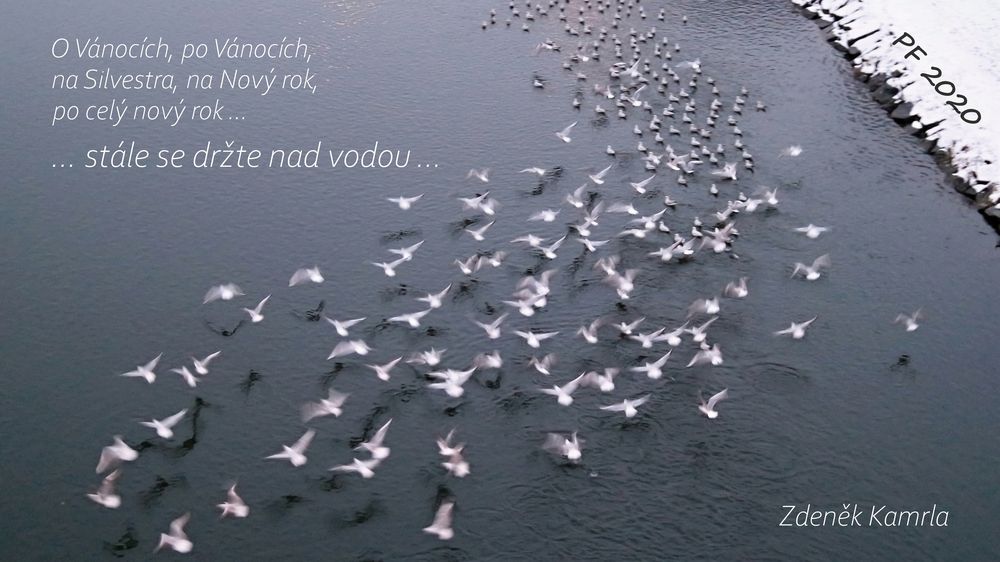 zdenek-kamrla-pf2020-nad-vodou-(2).jpg