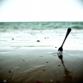 jaroslav-yari-beno-the-fork.jpg