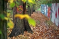 Jan Majdan, Grafiti