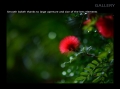 tokina-atx-m-85mm--stranka-07.jpg