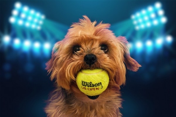 Wilson, můj kamarád, Josef Malý