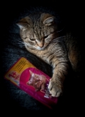 Neber mi Whiskas, Martina Bachová