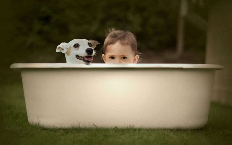 Co fotit, když jste doma? – rady do kategorií FOTOGRAFA ROKU