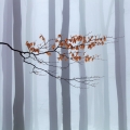 FOTÍME KRAJINU: MARTIN RAK – ČESKÝ LES