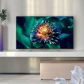 TCL přináší na český trh nové QLED televize C81 a C71