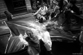 David Sládek – Kultura protestu