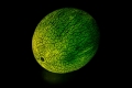 Melón I., Martin Kučera