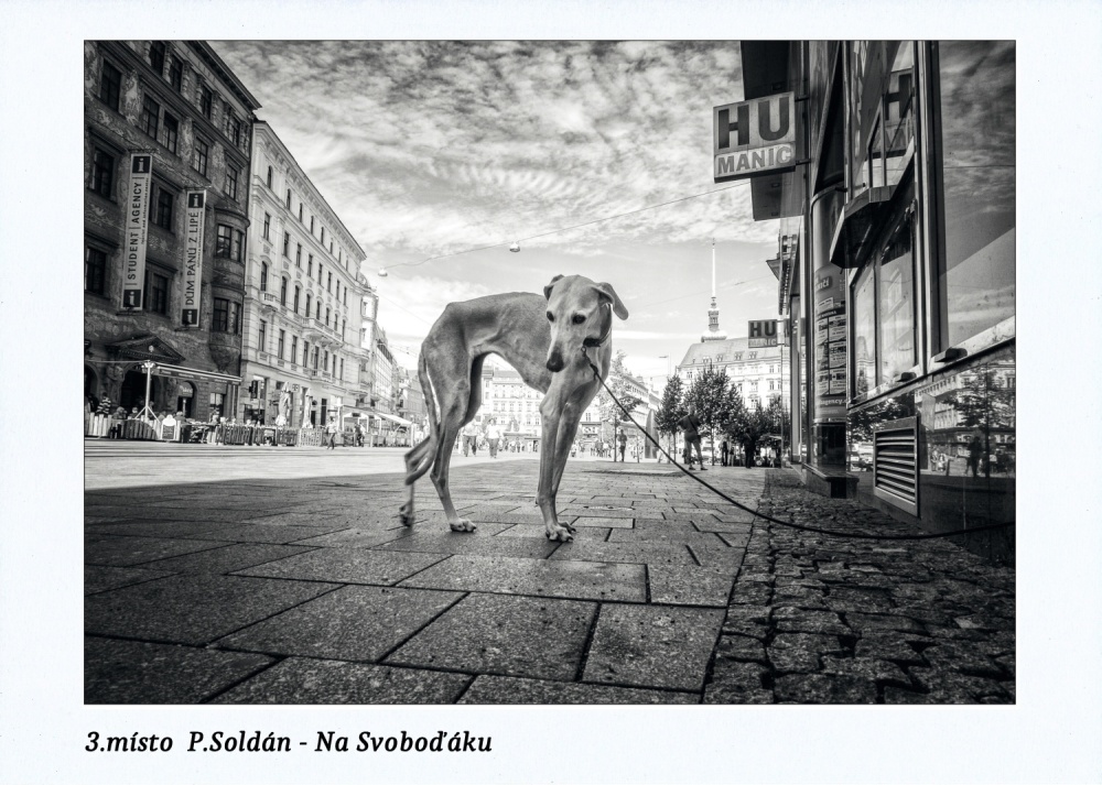 P.Soldán – KMF Brno – Na Svoboďáku