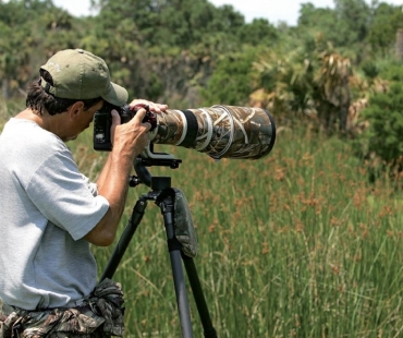 Fotíme wildlife v pěti základních krocích