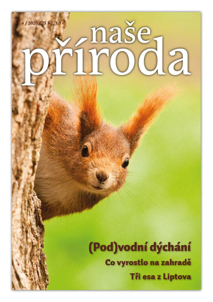 Naše příroda 4/20 – pohodové čtení na prázdniny