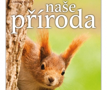 Naše příroda 4/20 – pohodové čtení na prázdniny