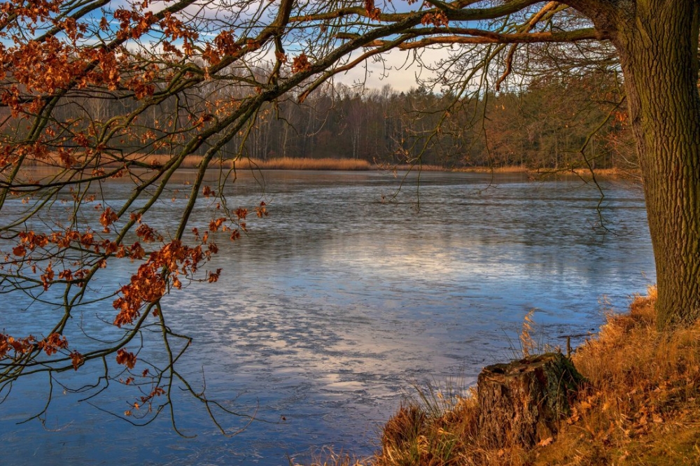 Alois Crk – Kařezské rybníky