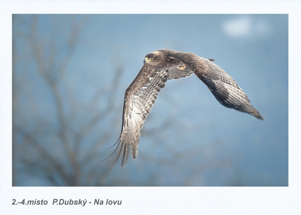 2. –4. P. Dubský, Kladno, Na lovu