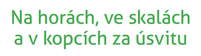 FOTOGRAF ROKU: JAK JSTE BODOVALI?