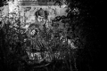 ZÓNA ČERNOBYL - 30 LET POTÉ