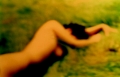 Fotofatal 1999–2020