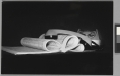 Jana Šterbová, Studie, (1986-1987)