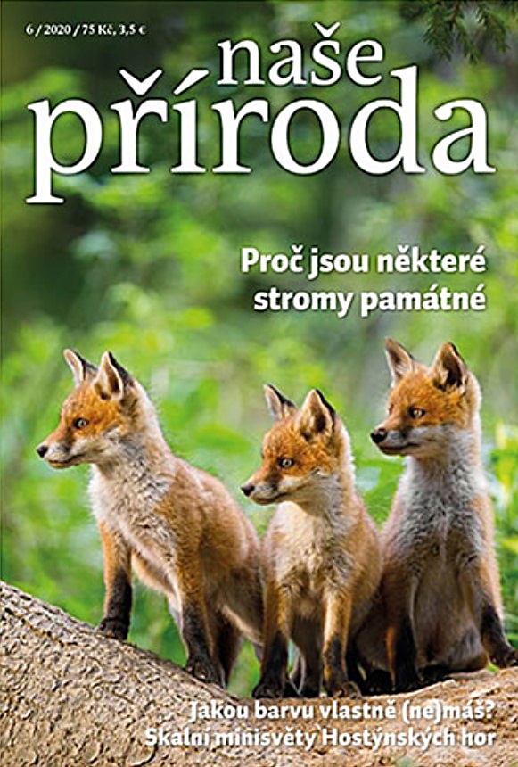 Užijte si advent s Naší přírodou 6/20
