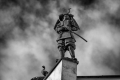 yojimbo,-petr-riedl.jpg
