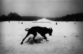 koudelka-006.jpg