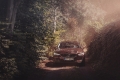 DAVID MARKOVIČ - V60 Cross Country