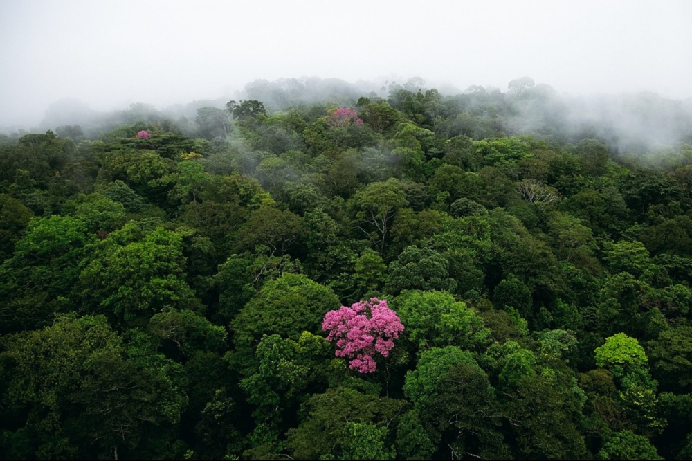 Yann Arthus-Bertrand – Podívejte se na úchvatné krásy planety Země