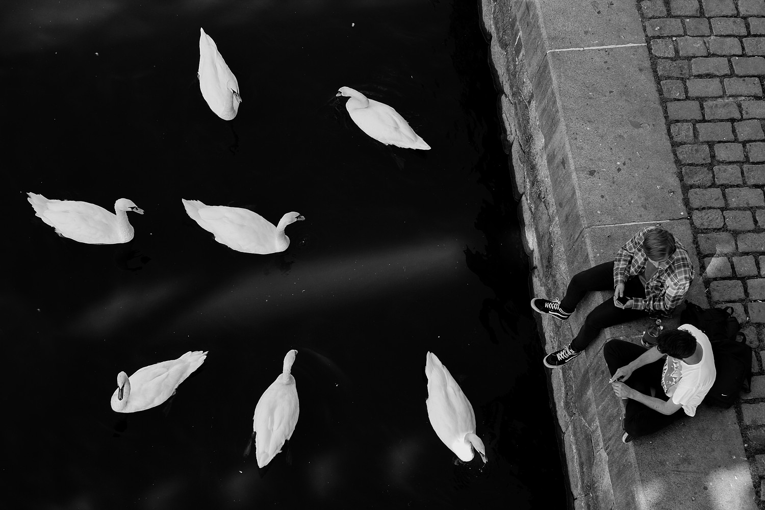 VOJTĚCH CIMPL - boys &amp; swans