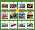 FOTOGRAF ROKU: VYHODNOCENÉ TÉMA „DOMÁCÍ KVĚTINY“