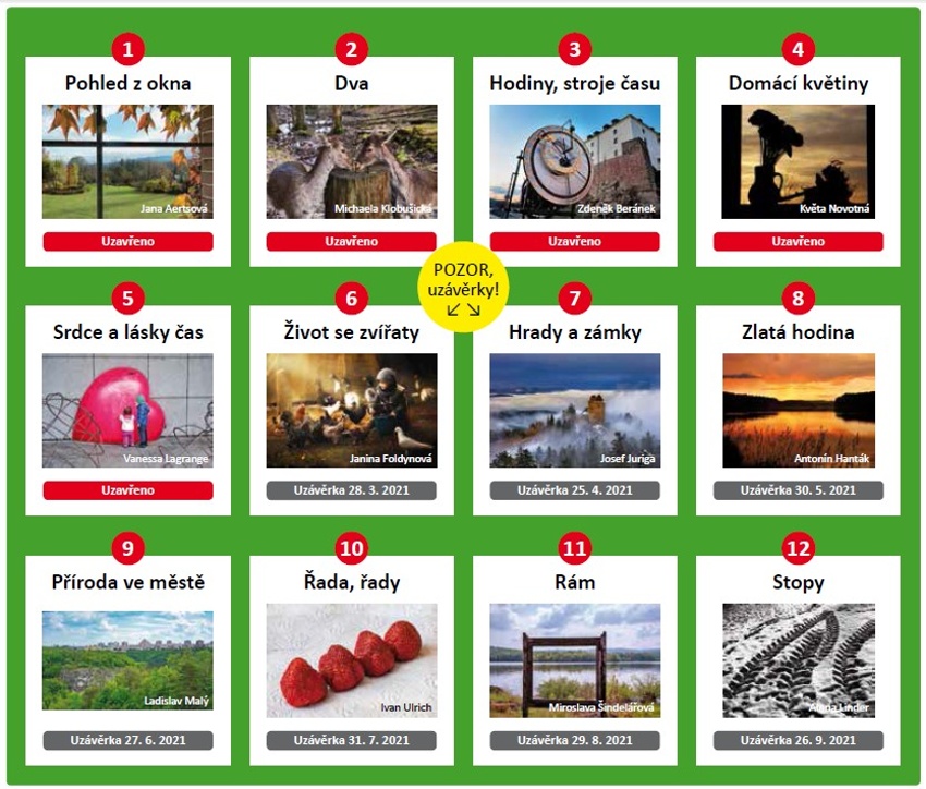 FOTOGRAF ROKU: VYHODNOCENÉ TÉMA „DOMÁCÍ KVĚTINY“