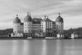 ADAM WEIS - Čiernobiely Moritzburg
