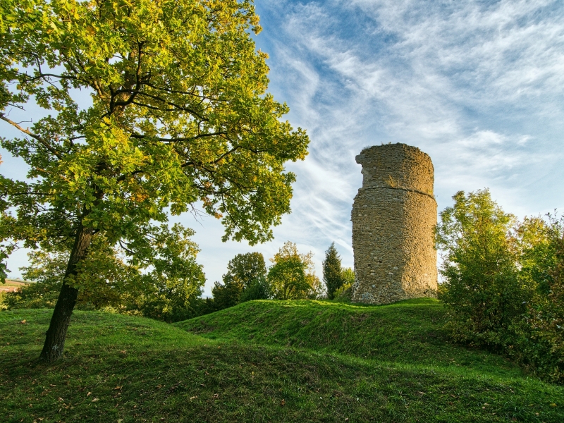 TOMÁŠ BURIÁNEK - Oslavický hrad
