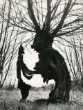Vilém Wilhelm Reichmann s přezdívkou Jappy byl fotografický poetik