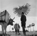 Werner Bischof – švýcarský fotograf, jehož dílo je dodnes považováno za vrchol angažované reportážní fotografie.