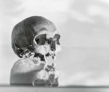 Vanitas – biblické téma marnosti v pojetí současných českých umělců v centru DOX