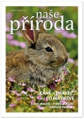 Do léta s časopisem NAŠE PŘÍRODA v čísle 3
