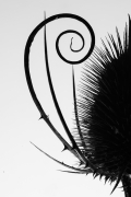 10 Martin Vorel – Portfolio