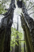 Testoval Martin Rak – Canon RF 14–35 mm f/4L IS USM